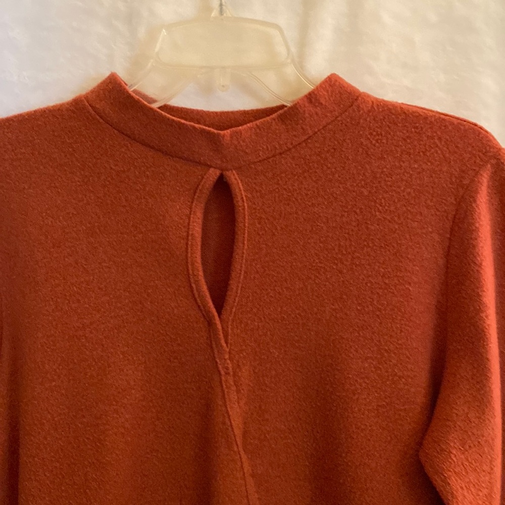 Rust-colored flared hem dress.
